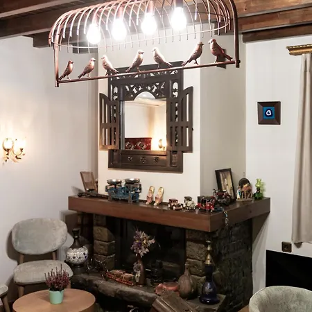 Illia Tatil Evi